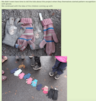 Schermafbeelding 2022-07-04 105300